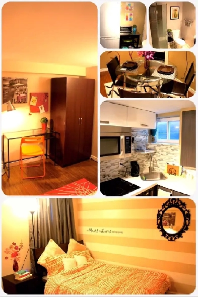 (Newly Renovated) & (Luxurious Furnished) Room for Rent - Female Image# 1