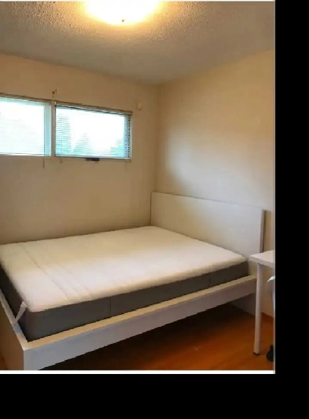 Surrey Room for Rent Near Skytrain Image# 2