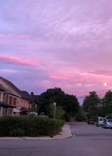 Share a quiet Art Deco-style det. house w/owner Smythe Park/ Tor Image# 5