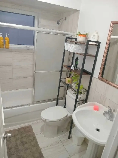 Room for rent Christie Pits Image# 4