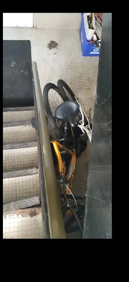 Spacious and bright 2 Bedroom Apartment in South Etobicoke Image# 6