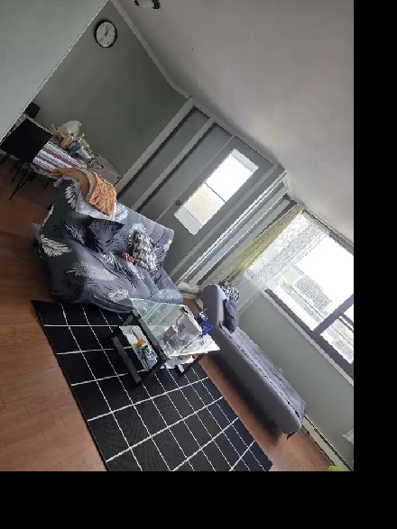 1 bedroom Sublease-Downtown Halifax Image# 1