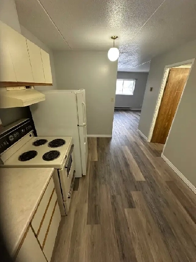 Bachelor available now in Minnow Lake Image# 3