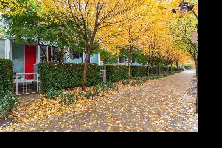 Work-Live Zoned Townhouse beside Stadium Skytrain Station Image# 5