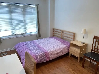 rooms for rent at York University village Image# 7
