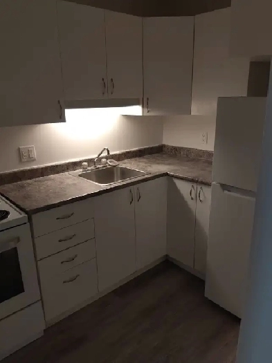 Joli logement 1 chambre - One bedroom apartment - Hull Image# 3