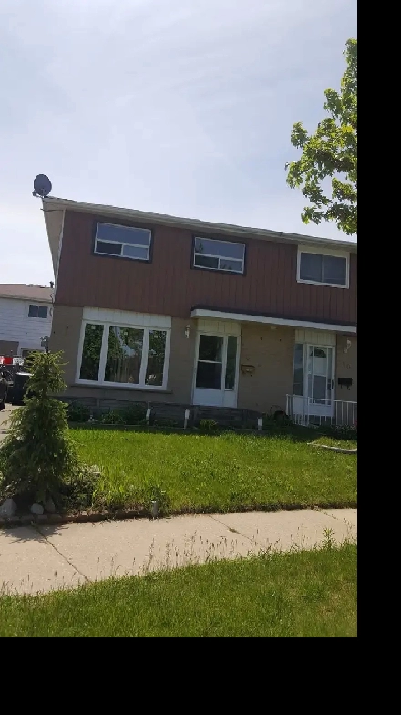 Brand New Basement - Two Rooms with Kitchen & Washroom for Rent Image# 5