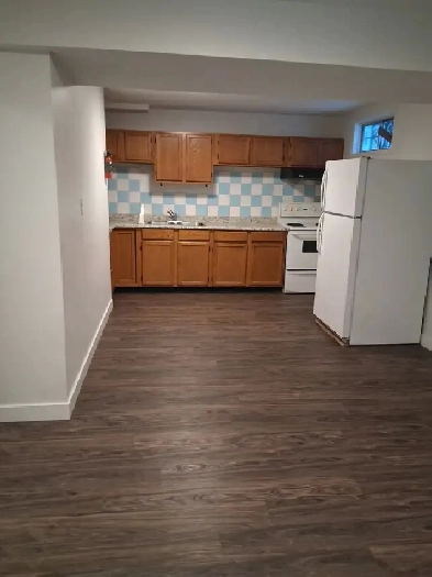 3 Bedroom big Basement for Rent in Rundle NE Calgary Image# 4