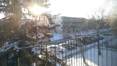 1 Bedroom Suite in Sunalta