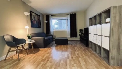 Room for Rent Bachelor Suite Location Location! River Valley Do Image# 9