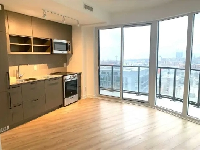 1 1 condo at 135 East Liberty, Move in now Image# 4
