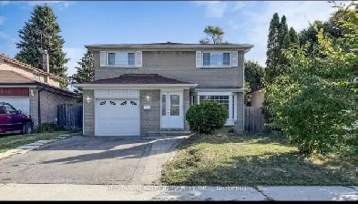 Basement for rent Image# 1