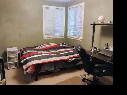 Jan1-15m/Algonq-30m/Carleton-Meadowlands-Furn, See VIDEO's Image# 5