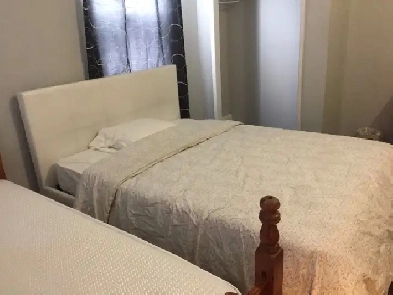 private room shared kitchen and two washroom with working males Image# 4