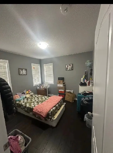 room for rent Image# 1