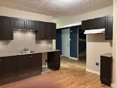 4 1/2 - 3e étage - près du  CEGEP et commodités -  875$ Image# 2