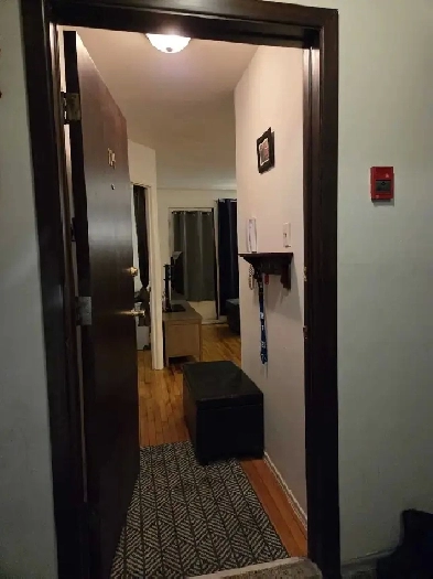 Coloc Fille Rechercher Image# 1