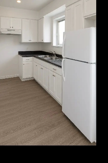 Beau GRAND 4½ LIBRE/CDN/ CUISINE RÉNOVÉE Image# 4