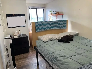 Student Apartment - WCRI, 268 Phillip St, Waterloo (Spring 2026) Image# 7