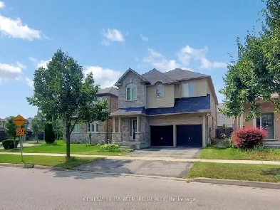 2 BEDROOM LEGAL BASEMENT FOR RENT (BRAND NEW) Image# 4