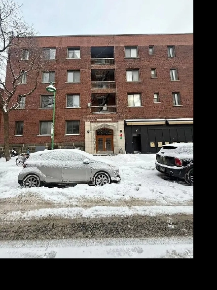 Appartement de 2 chambres à coucher et 1 salle de bain Image# 5
