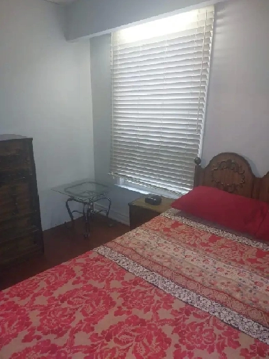 Furnished room for rent near Bramalea City Centre Image# 1