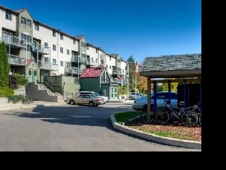 Subletting Private Room Close to UW campus January - April Image# 6