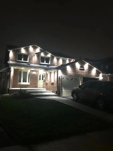 2 Bedroom Legal Basement For Rent For A Family Image# 1