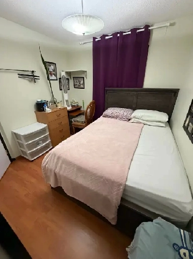 Kabayan looking for a room (McKenzie Lake) Image# 1