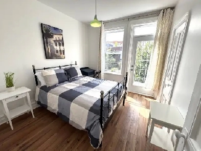 Rosemont superbe 4 1/2 entièrement meublé! Image# 9