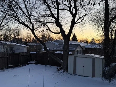 House for rent Image# 10