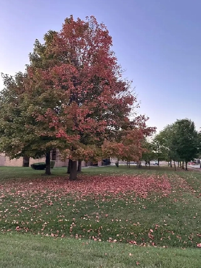 Room available Image# 1