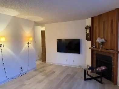 1 Bedroom Furnished Apartment Lakeview Image# 1