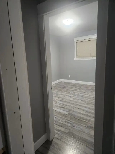 1 bed 1 bath rental Image# 3