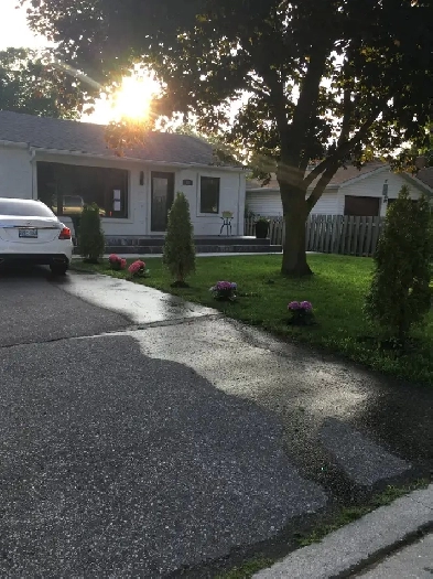 RENOVATED COZY BUNGALOW Image# 5