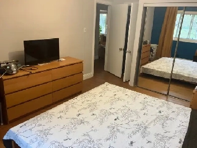 Chambre disponible  louer dans une belle maison  Baie dUrf