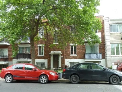 logement 5 1/2 à louer Image# 5