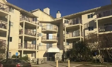 2 Bedroom spacious apartment south side for rent Image# 1