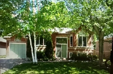 Wasaga Beach - House for rent Image# 2