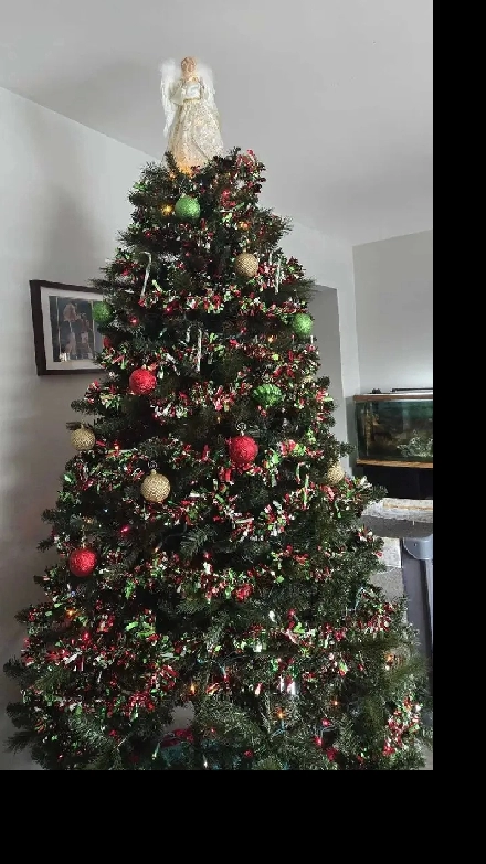 Small Family Looking For Home Image# 1