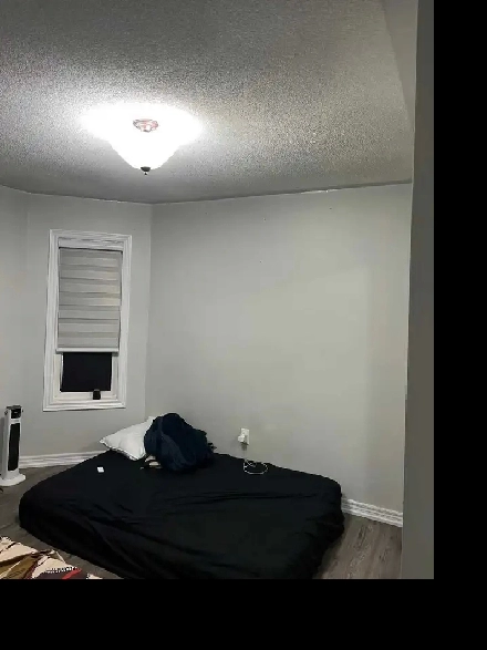 Shared Room available from 1st Jan brampton L6P2R3 Image# 2
