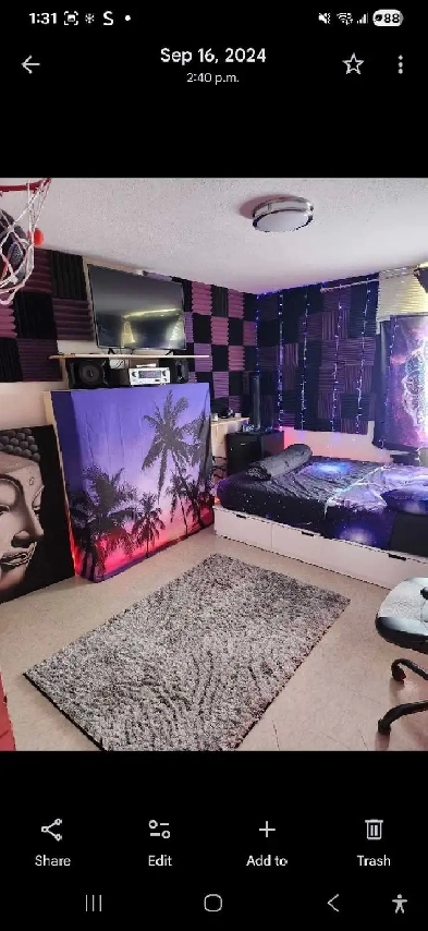 (For 2 Punjabi females)...$300 each Image# 6