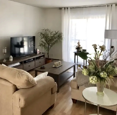 Québec, secteur Beauport, 4 1/2 rénové, frais peint Image# 4