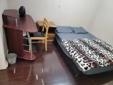 BRIGHT & CLEAN 1-BEDROOM BASEMENT APARTMENT – SEPARATE ENTRANCE Image# 6