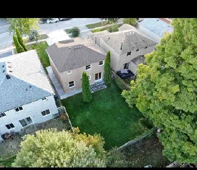 Newly Renovated Basement for Rent in Barrie Image# 3