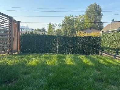 1Bed/1bath Downown private yard pet friendly! Image# 6