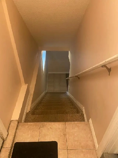 2 bedroom Basement For rent Image# 1