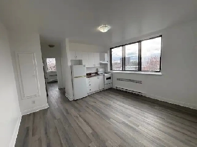 Renovated very bright 1-bedroom apartment in CDN for only $1278 Image# 4