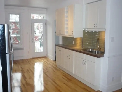 Plateau Mont-Royal, charmant 4 1/2 rénové/renovated Image# 4