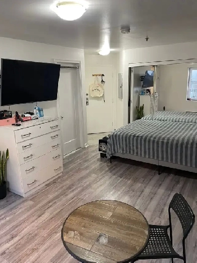 Downtown Metro Papineau renovated furnished 2 1/2 with terrace Image# 6